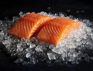 SALMON1a.jpg